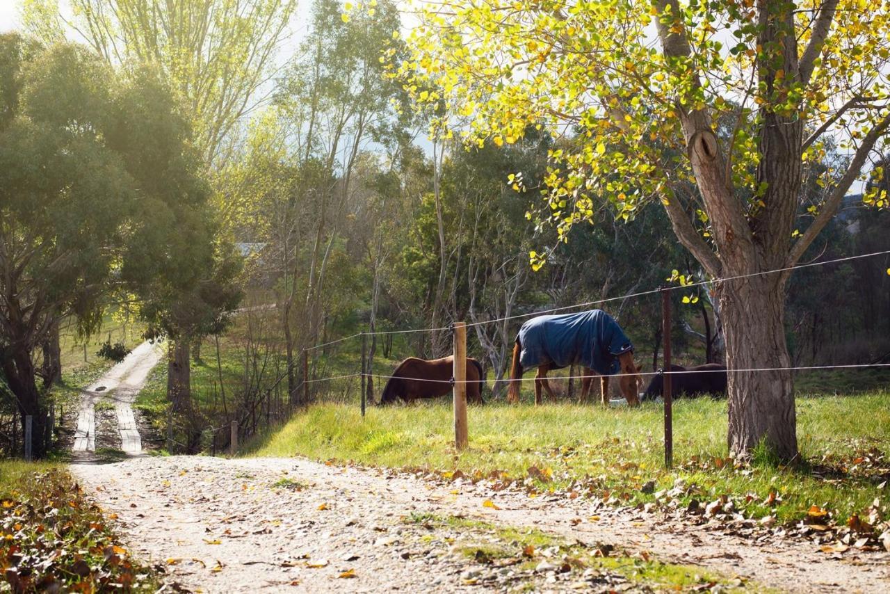Colby Cottages, Wooragee Near Beechworth Exterior photo
